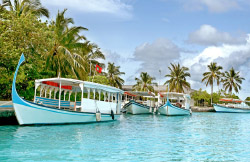 Most Popular Canareef Resort Package - Maldives