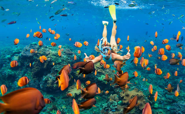Perfect Maldives Sightseeing Tour Package