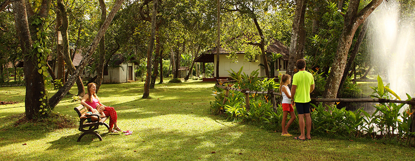 Family Kerala Package 3N/4D