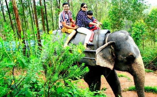 6N/7D Deluxe Kerala Tour Package