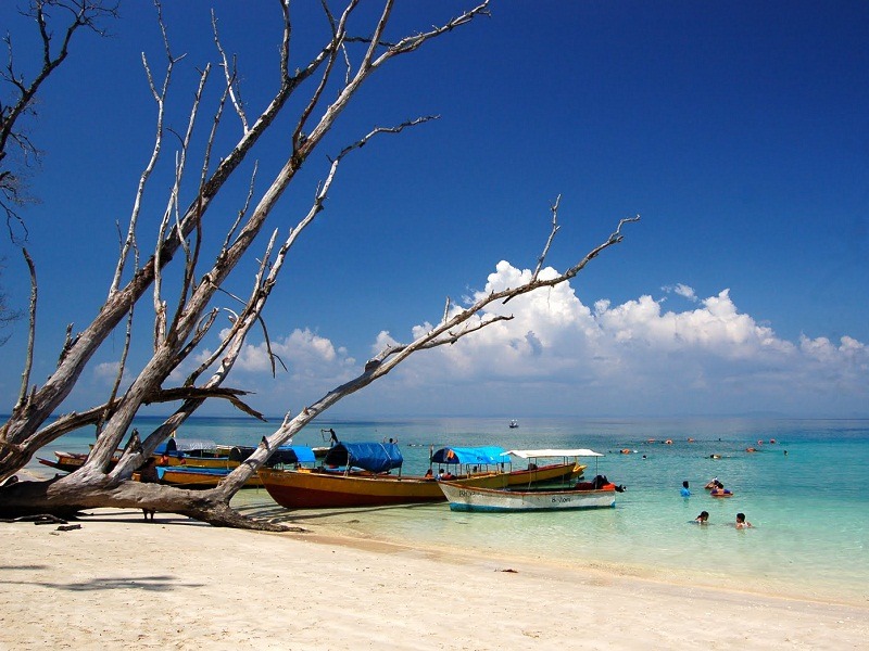 4 Nights and 5 Days â€“Standard Explore Havelock