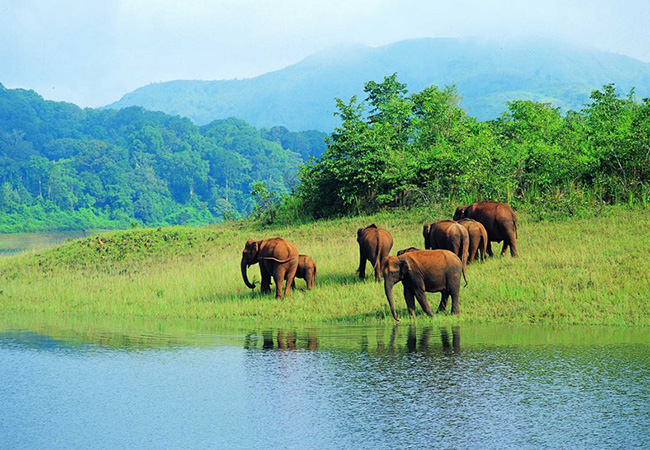 Kerala Package 4N/5D