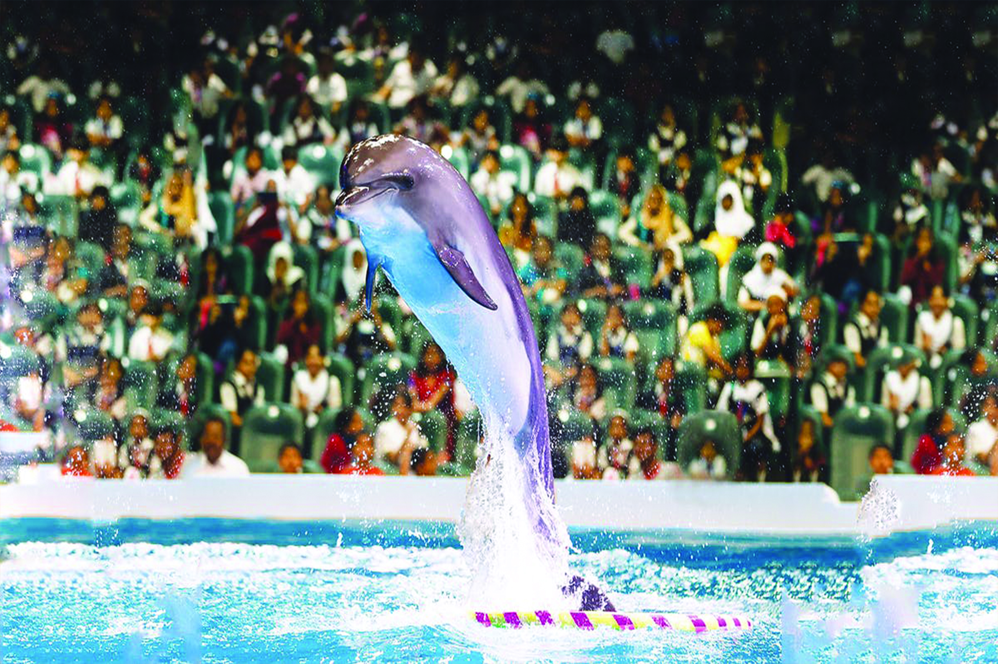 06 Nights Incredible Dubai package