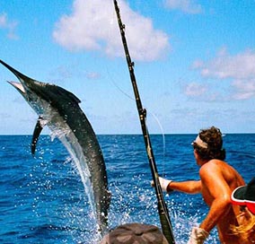 best holiday packages