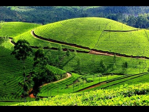 6N/7D Standard Kerala Tour Package