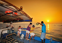 4N Sun Island Hotel Maldive