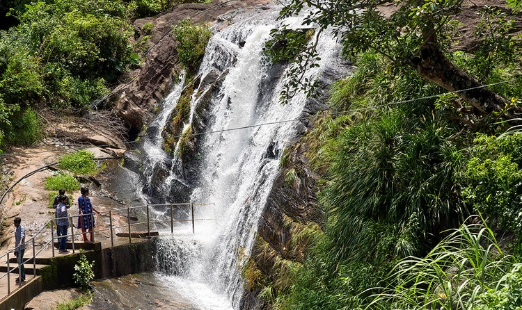 Mesmerizing Kerala Holiday: Weekend in Munnar & Thekkady