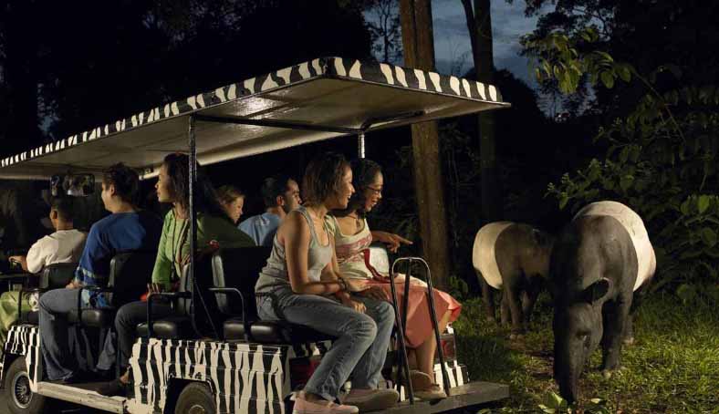 Enchanting Singapore Honeymoon 4 Activity