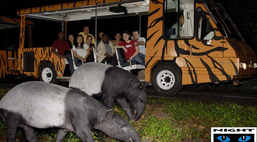 3 Nights Relaxed Holiday 3 Activity