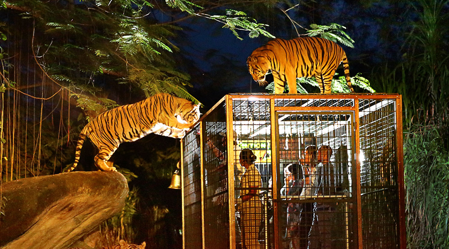 4 Nights in V Bencoolen Singapore 